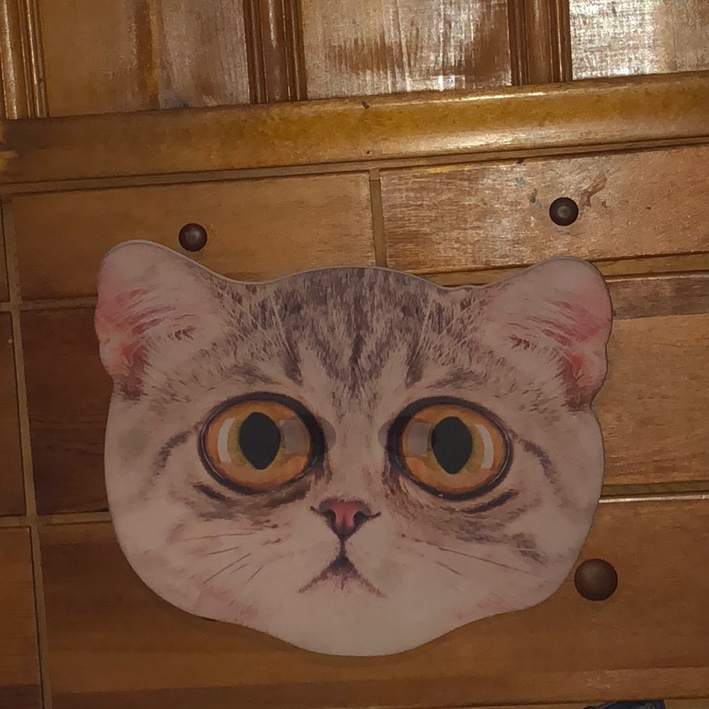 Cat mask